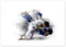Judo Poster von Tompico 120 x 90 cm Wandbilder Wanddeko