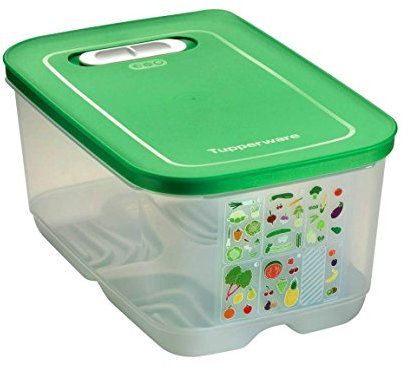 Tupperware Réfrigérateur 4,4 L Vert foncé Oasis Climatique Haut PrimaKlima A183 Climatique Roi 10304
