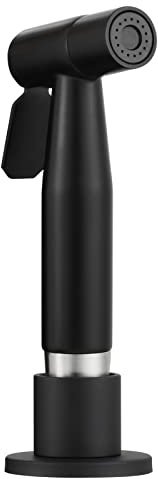 CIENCIA Waschbeckenbrause Edelstahl Küchenbrause Geschirrbrause Spülbrause für Armaturen, Küchenarmatur Schwarz Herausziehbarer Geschirrbrause inkl. Schlauch, WS030CF
