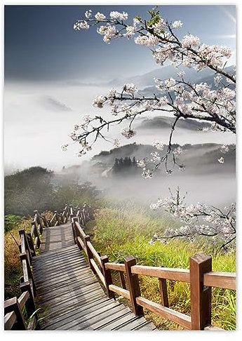 Photo Photo Poster Décoration murale 50 x 70 cm Fleur de cerisier du Japon n° H839Z_PL1H