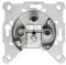 GIRA Serie Standard 55 - reinweiß glänzend (EDS 322F) Twin-SAT-Antennen - Zubehör