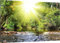 HUBDECO Leinwand Bilder Wohnzimmer - Bilder, Poster, Kunstdrucke - Leinwandbild - Bild auf Leinwand - Tolle Zimmerdekoration - Schlafzimmer Bilder - 120x80 cm Wald Wasser