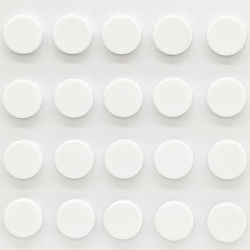 PYJLBX Magnete für Magnettafel, 20 Stück Kühlschrankmagnete, Mini Stark Kleine Whiteboard Rund Bunt für Klassenzimmer Büro Magnetwand Pinnwand, Weiß
