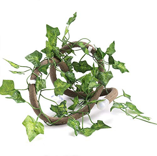 AKLOSIPY Breau de Clignol de Vigne Flexible avec Feuilles de Lierre - Décoration de 3,28 Pieds pour S & Terrariums (Vinaigre + Feuille de Lierre)