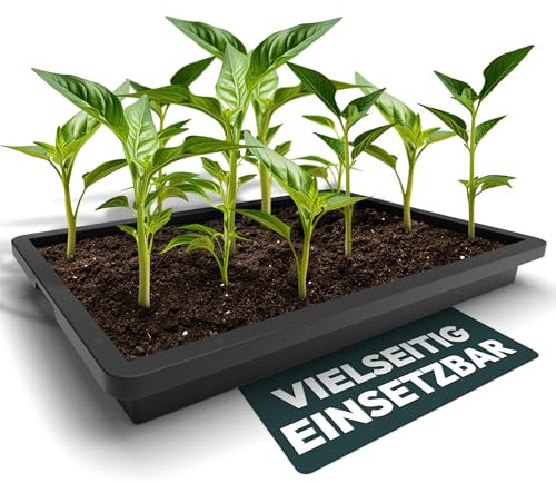 UDOPEA Saatschale Manna - Jardinera para Plantas (60 x 40 x 6,5 cm, Estable, sin Agujeros en el Suelo, Resistente al Agua, para Plantas, Cultivos, jardín) (7)