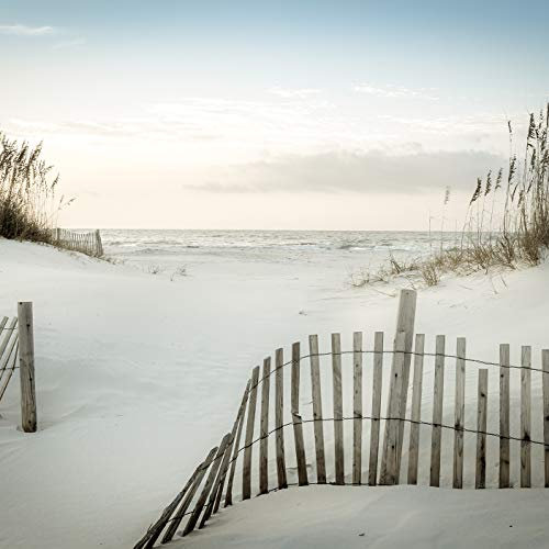 Forwall Fototapete Vliestapete Strand Sand Dünen Wohnzimmer Schlafzimmer Büro Latexdruck UV-Beständig Hohe Auflösung V8 (368cm x 254cm.)