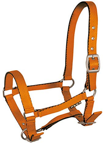 York Fohlenhalfter Mini Halfter Pferdehalfter Tobi versch. Farben (orange)