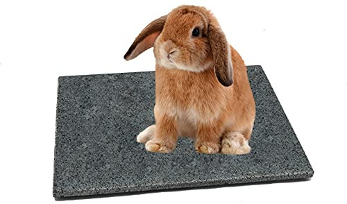 DiConcetto Pierre à gratter / pierre d'entretien ainsi que plaque de refroidissement / pierre climatique en granit pour hamsters, cochons d'Inde, lapins et autres rongeurs (pointon 30 x 20 cm)
