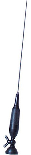 Team Electronic Ranger TS-9 Short