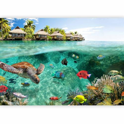 Fotomurales B&D XXL 300x210 cm Papel pintado tejido no tejido Decoración de Pared decorativos Murales moderna de Diseno Fotográfico naturaleza paisaje mar pescado verano c-A-0027-a-a
