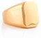 Akitsune Iustitia Ring | Design-Ring Frauen Herren Schlicht Edelstahl Minimalistisch - Gold - US 6