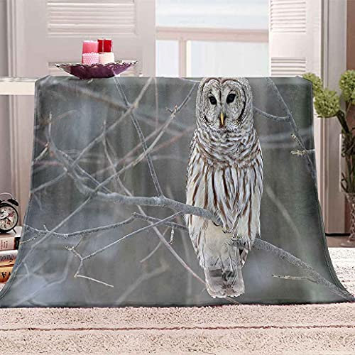 YHDNP Kuscheldecke Flauschig 150x200cm Graue Eule Wohndecken Decke Picknicku Ltraweich Und Warm Sofadecke Kuscheldecken 3D-Druck Flanell Fleecedecke Für Erwachsene Und Kinder