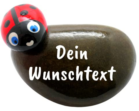 ANDYS STEINWELT - Glücksstein mit Spruch in weißer Schrift und Glückskäfer - Handbemalt mit Wunschtext | Glücksbringer aus Naturstein ca. 8-10 cm | Handschmeichler Mitbringsel Geschenk