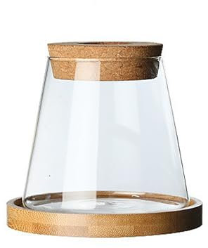 DADEA Pots de Fleurs en Verre pour Plantes D'intérieur, Vase pour Plantes Aquatiques, Terrarium en Verre avec Couvercle, Vases Hydroponiques en Verre, Terrarium pour Plantes de Bureau, Bocaux de(#1)