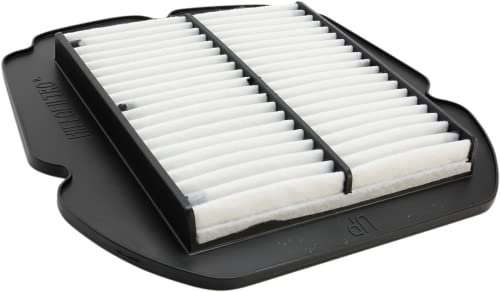 Filtro Aria Hiflofiltro HFA3618