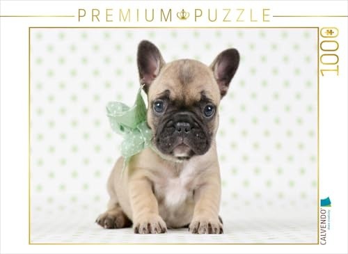 CALVENDO Puzzle Hundebaby zum Verlieben Französische Bulldogge Welpe | 1000 Teile Lege-Größe 64 x 48 cm Foto-Puzzle für glückliche Stunden