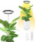 Beautiebeam Vollspektrum LED Pflanzenlampe für Zimmerpflanzen,LED Grow Light,35cm-155cm Wachstumslampe höhenverstellbar,8/12/16 Stunden Timer,10 Helligkeitsstufen,4 Meter Stromkabel,5V Adapter,Schwarz