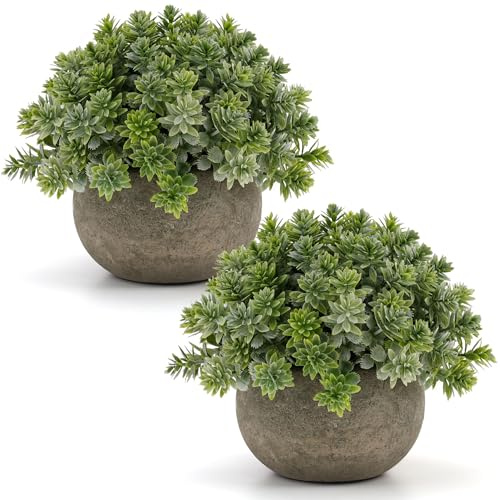 Gresorth 2 Pcs Small Artificial Sage Potted Plant Decoration - 5 Inch | in Pulp Pots, Fake Topiary Plants, Lifelike Landscape Ornament, Faux Green Model, for Party Bedroom Windowsill