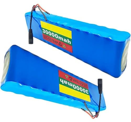Batterie lithium-ion pour vélo électrique 24 V 30 Ah avec chargeur - Configuration 7s4p pour vélos électriques et cyclomoteurs