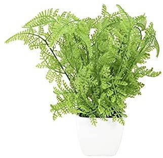 EUROPALMS Waldfarn im Topf, Kunstpflanze, 25 cm | Kleiner Waldfarn im Topf, hervorragend als Tischdeko geeignet