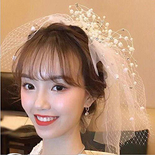 Brautschleier Braut Schleier mit Kamm Tüll Perle Softtüll Spitze Kurz Hochzeitsschleier Brautschmuck Fotografie Show Haarschmuck Kinder Party Abendkleid Brautkleid Deko Cosplay Hochzeit Zubehör