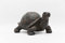 DecoTrend GmbH Dekofigur Schildkröte 10,5x6,5x5,5cm