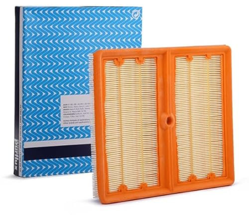 PURFLUX A1816 Filtro aria motore Cartuccia filtro