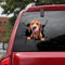 Ocean Gift Rhodesian Ridgeback Auto-Aufkleber, Hunde-Autoaufkleber, 2 Stück, realistische Rhodesian Ridgeback Aufkleber für Autofenster, Wände, Serie 75, Größe 25,4 x 25,4 cm