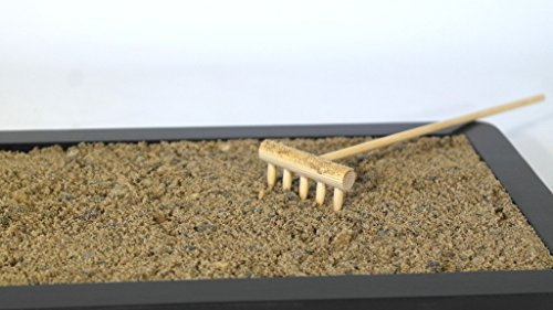 15 tipologia tra Terriccio, Lapillo, Pomice, Zeolite, Humus lombrico, Sabbia di fiume, Akadama, Kiryuzuna, Kanuma, Agriperlite, Torba (Sabbia di fiume 0/3 mm., 5 lt.)
