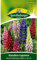 Stauden-Lupine, Russels Hybrid-Mischung