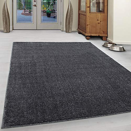 Ayyildiz Teppich-Teppich Modern Designer einfarbig kurzflor, Polypropylen, Grau, 120 X 170