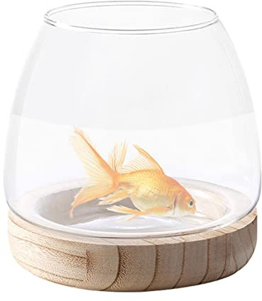Kasmole hydroponiques en Verre - Vase Bocal à Poisson en Verre Transparent avec Support en Bois,Vase hydroponique en Verre, Aquarium écologique, Vase à Fleu pour Aquarium pour Centre