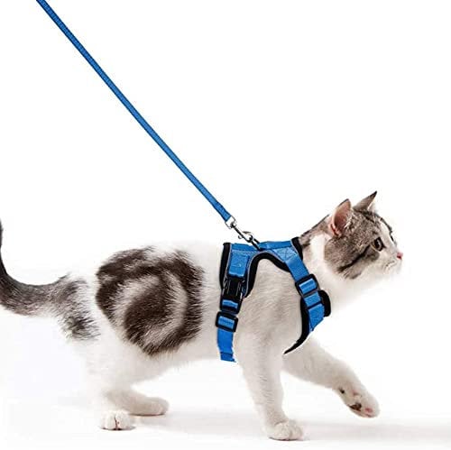 Katzengeschirr mit Leine Ausbruchsicher Katzenleine Set Verstellbar weich Kätzchenweste mit Reflektierenden Streifen Brustgeschirr für kleine Kitten (Blau, S)