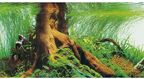 Hobby Fotorückwand Pearl River/Deep Delta - 120 x 50 cm