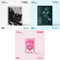 (G) I-DLE - I feel (6th Mini Album) CD+Pre-Order Benefit+Folded Poster (Cat ver. / CD Only, No Poster)
