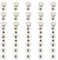Ruidee 100Pezzi/50Sets Rivetti a Vite M5x10mm Viti Rilegatura Acciaio Inox Viti Chicago Rivetti Testa Piatta a Vite Vite Cintura per Fissaggio Album Fotografico (ZBD/M5x10)