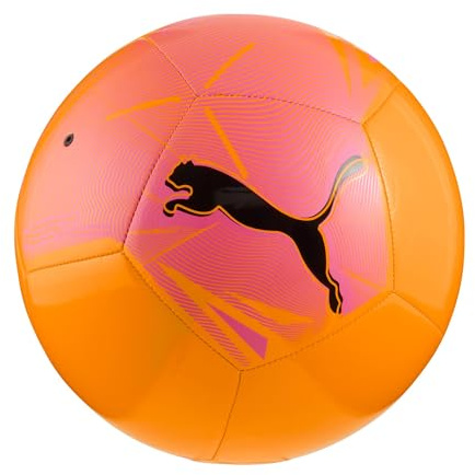 PUMA Großer Katzenball Trainingsbälle