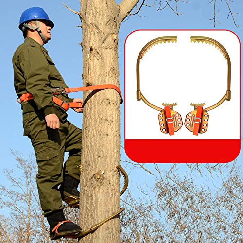 Strumento Per Arrampicare L'Albero, Ramponi Professionali, Per Osservazione Della Caccia, Raccolta Della Frutta, Diametro Regolabile, Semplice da Usare.,300Model