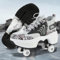 Schuhe mit Rollen für Jungen,Rollschuhe Damen Roller Shoes,LED Schuhe Herren Turnschuhe mit Rollen,Roller Schuhe für mädchen,Roller Sneaker Geburtstagsgeschenk (E, 36)