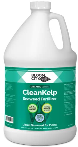 Suplemento orgánico líquido fertilizante de algas marinas y algas marinas por Bloom City Gallon, (128 onzas) concentrado hace 750 galones