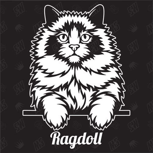 speedwerk-motorwear Ragdoll Sticker, Aufkleber, Katzenaufkleber, Cat, Autoaufkleber, Kitten, Kater, Kätzchen, Auto, Tiere, Haustier (AUCH MIT Wunschname MÖGLICH)