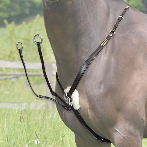 e EQUITYUM Brustgeschirr für Reiten, hohe Qualität, hochwertige Materialien, italienisches Design, effizientes und sicheres Zubehör (COB, braun)
