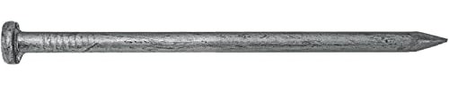 5 Exterior Hot Dipped Galvanized Common Framing Nail (40d) 1 Pound ~15 Nails
