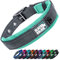 Black Rhino - Das Comfort Halsband Super Weiches Neopren Gepostertes Hundehalsband für alle Hunderassen - Hochbeanspruchbar Verstellbar Reflektierend Wetterfest (XL, Aqua/Grau)