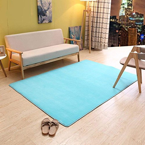 GZ Rug Home Coral Carpets Simple European Carpets, Living Room Bedroom Carpets Coffee Mat Mats Bedside Blankets Full Floor Carpets,101 * 101CM,AAA