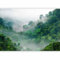 murando Fotomurales Selva 450x315 cm XXL Papel pintado tejido no tejido Decoración de Pared decorativos Murales moderna de Diseno Fotográfico Naturaleza Madera Tropical c-B-0346-a-a