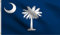 DMSE Flagge South Carolina Palmetto, 60 x 90 cm, 100 % Polyester, 100D, UV-beständig, 60 x 90 cm