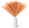 30 Stücke Pampasgras 55cm Natürliche Getrocknete Künstliche Pampasgrasdekoration Flauschig Faux Boho, für Zuhause, Küche, Wohnzimmer, Hochzeit (Orange)