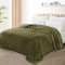 Exclusivo Mezcla Plaid Couverture Polaire à Motif Carreaux, Plaid jeté de Canape Super Doux et Chaud, Léger pour Toutes Les Saisons, 150x200 CM, Vert Olive