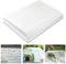 Heavy Duty Polythene Sheeting, 2M X 3M Extra Thick Plastic Sheeting, 125Mu/500G Thickened Garden Grow Polythene Cover Sheets for Gardening Insulation Building Rubble Protection